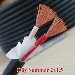 3173cd451cb4c1ea98a521