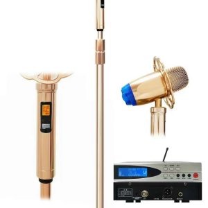 Micro đứng Không Dây Truesound K9.hinh1