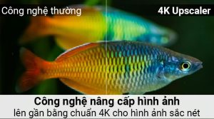 Vi Vn 5 4k Upscaler