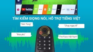 Vi Vn 8 Timkiemgiongnoi