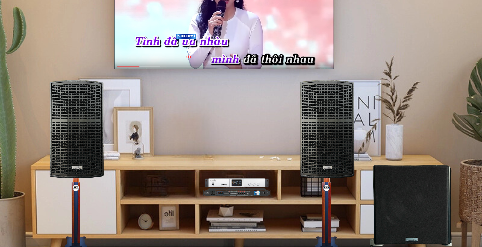 Dàn Loa Truesound Ck 12 Giá Lẻ