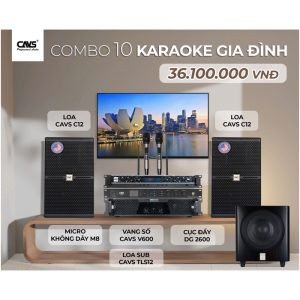 Dankaraokecom10